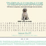 TheDrawnPaws | 100 Beloved Companions, 100 Charcoal Sketches